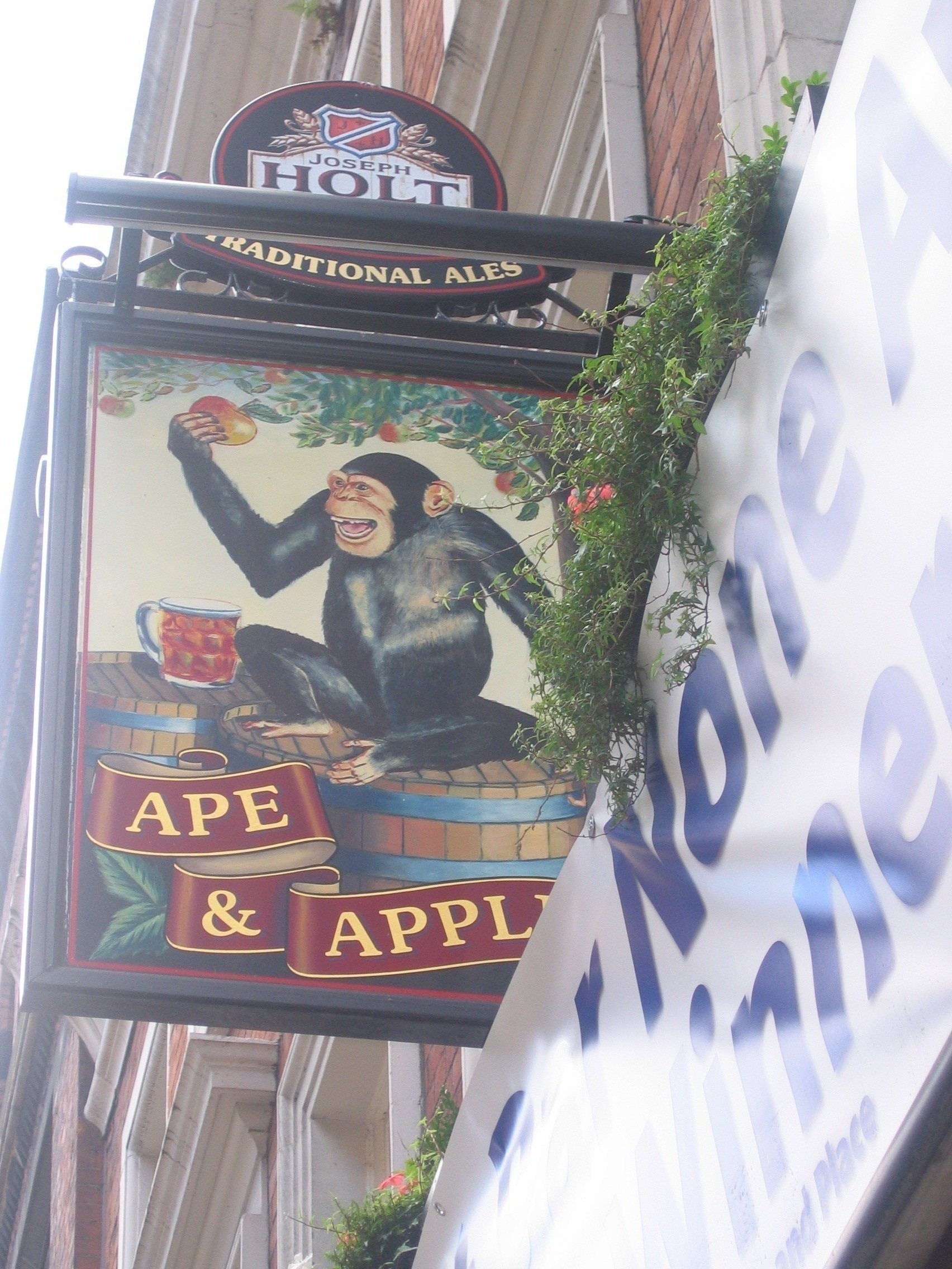 Photo taken by me – Manchester’s Ape And Apple pub sign 