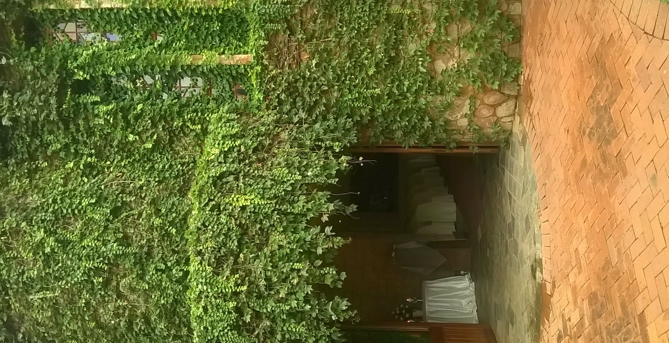 photo of Chapel entrance I took