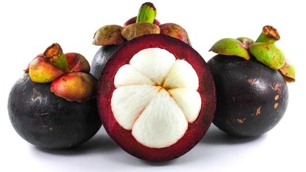 mangosteen fruit mangosteen fruit