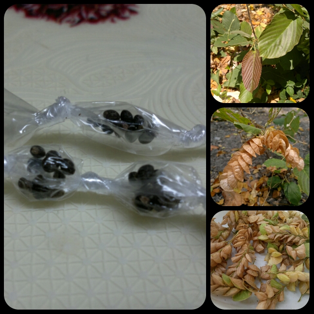 Photo is mine. My amulet! Stay away from me! Lol jk Photo is mine. My amulet! Stay away from me! Lol jk