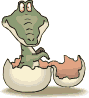Crocodile hatching