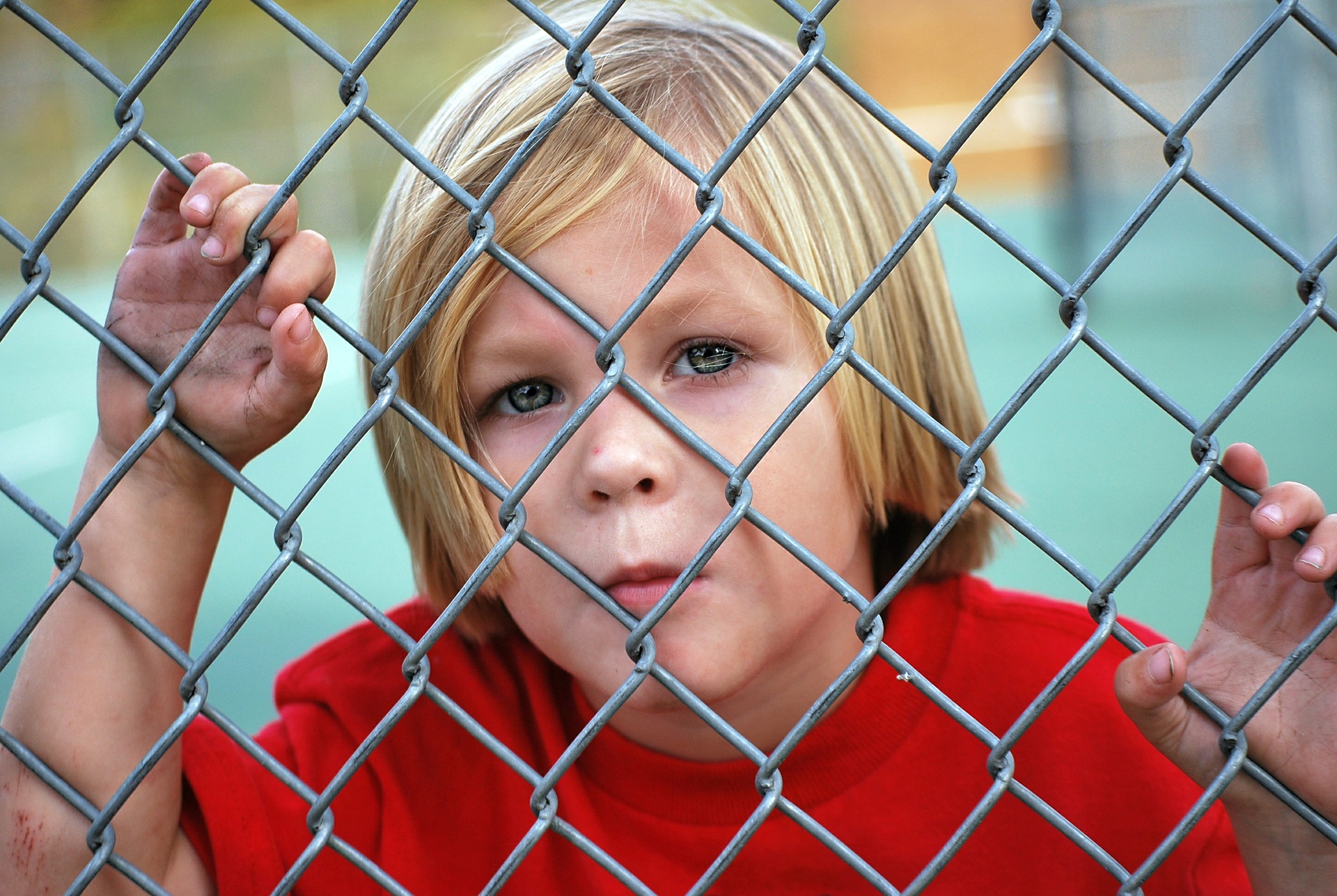 Fenced in the garden!