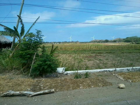 Image is mine. The bangui windmills.