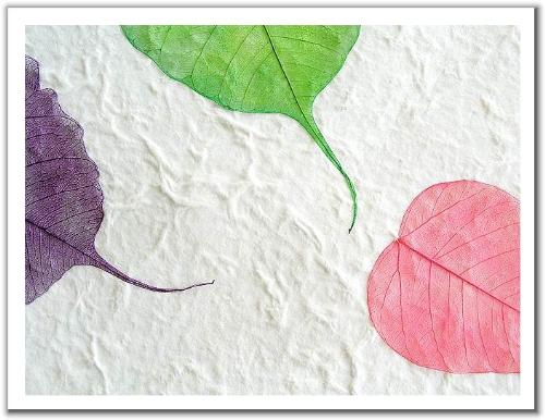 Natural but cool - Its a simple photo of tree leaves but it looks great and gives freshness to mind.