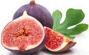 figs figs