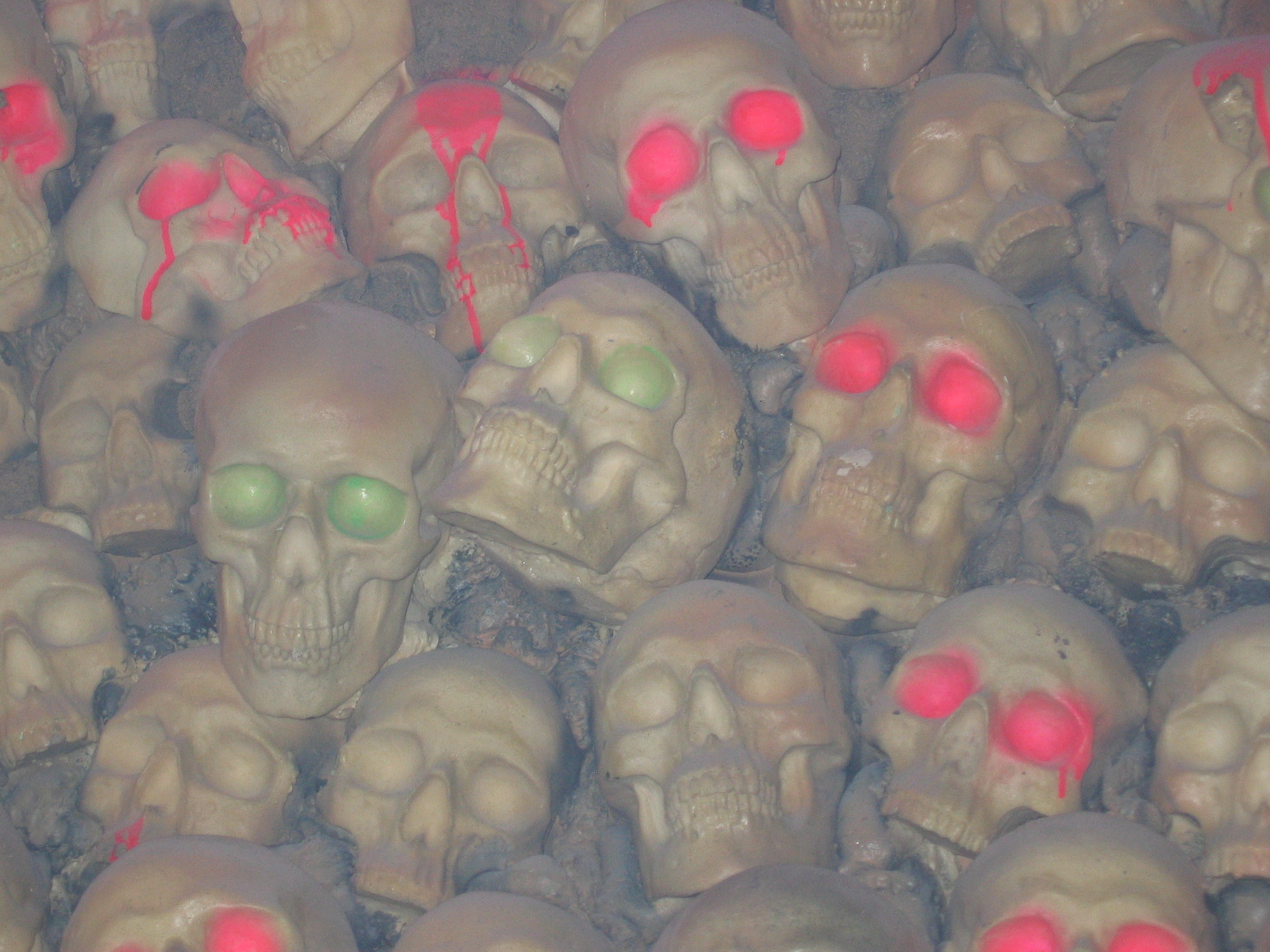 Photo taken by me – skulls on display at Satan’s Hollow nightclub, Manchester Photo taken by me – skulls on display at Satan’s Hollow nightclub, Manchester