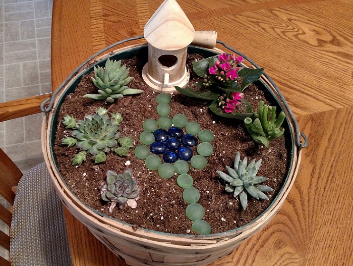 Fairy garden