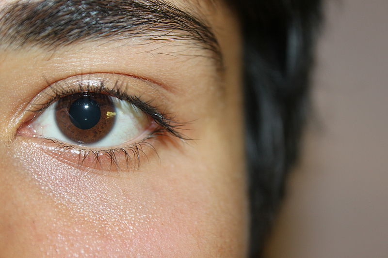 https://commons.wikimedia.org/wiki/File:A_sample_of_brown_eyes.jpg