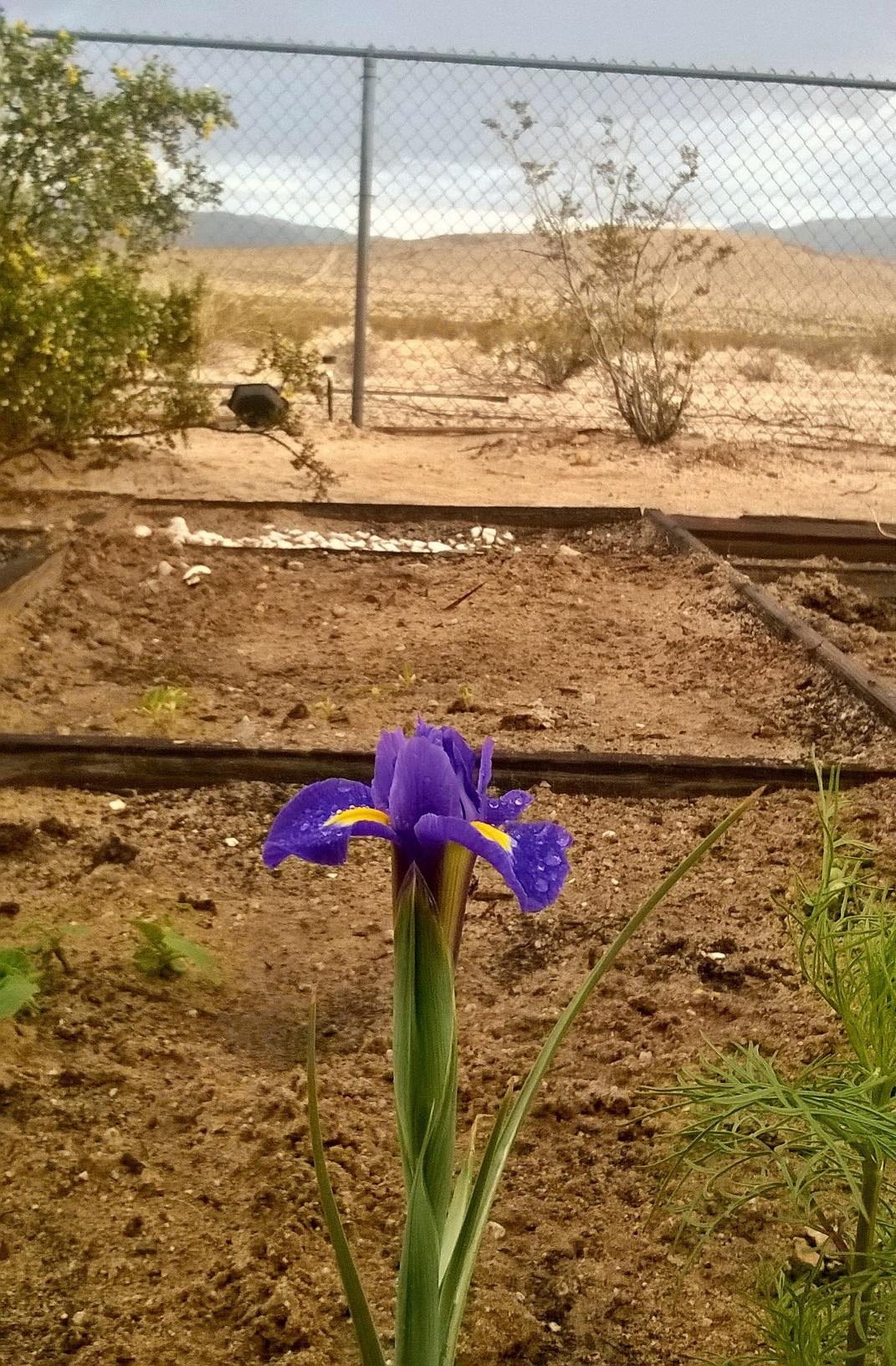 Quite a contrast against the background landscape