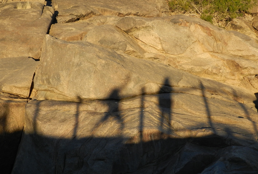 my shadow is leading the way my shadow is leading the way