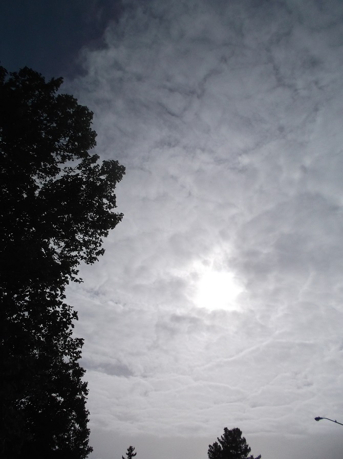 Taken on a walk with Angel 4-15-16 Taken on a walk with Angel 4-15-16