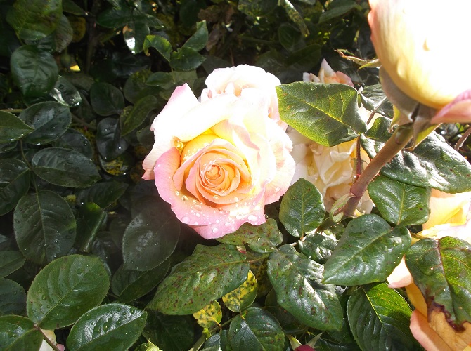 Photo taken by me Photo taken by me
