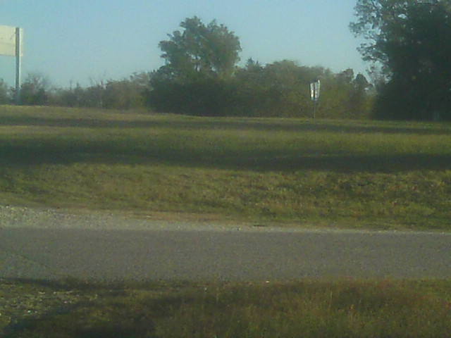 Looking out my front door