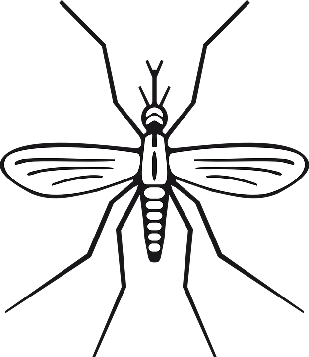 Buzz Public Domain by Pixabay Buzz Public Domain by Pixabay