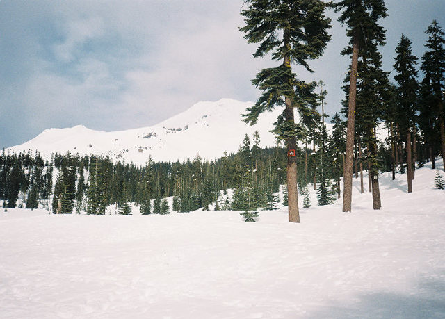 SNOW - Bunnyflat, Mt. Shasta, CA