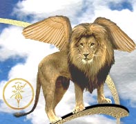 My animal - my animal