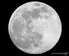 Moon Light