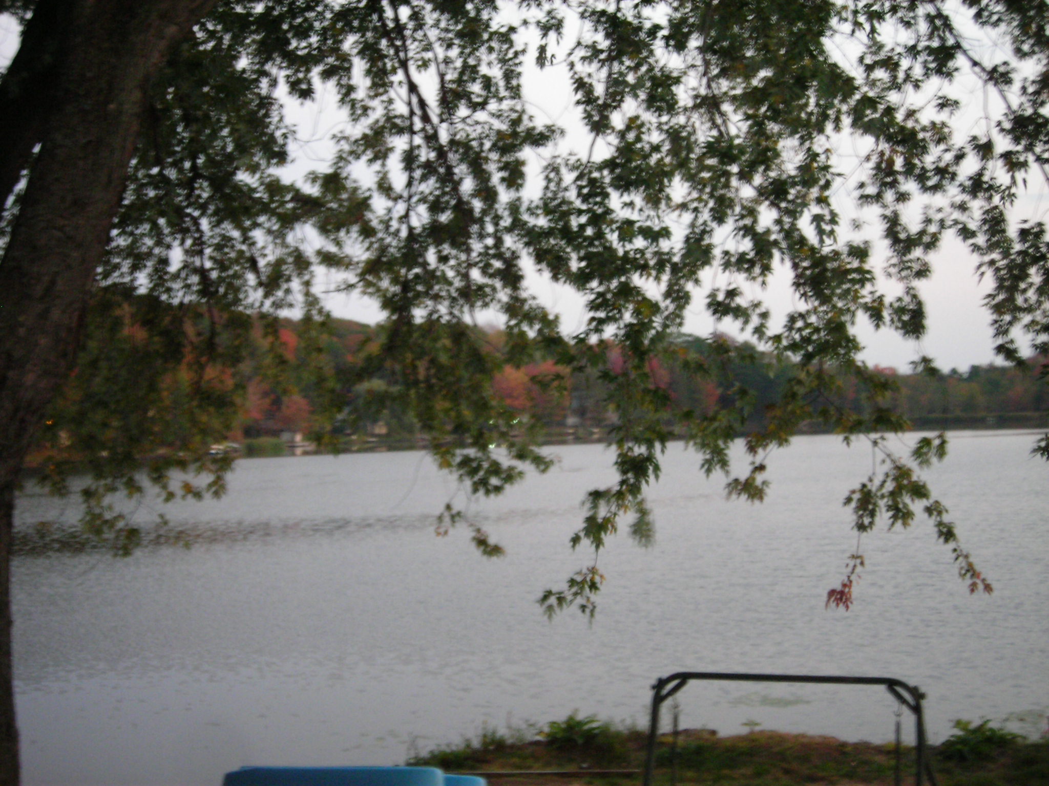 A relaxing view of the lake in Pennsylvania