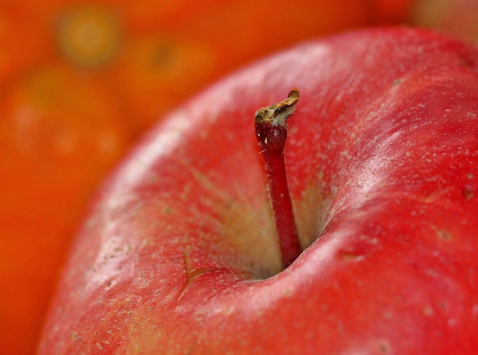 Photo is from https://pixabay.com/en/apple-fruit-fruits-vitamins-food-1081105/ . Photo is from https://pixabay.com/en/apple-fruit-fruits-vitamins-food-1081105/ .