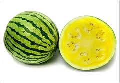 yellow watermelon
