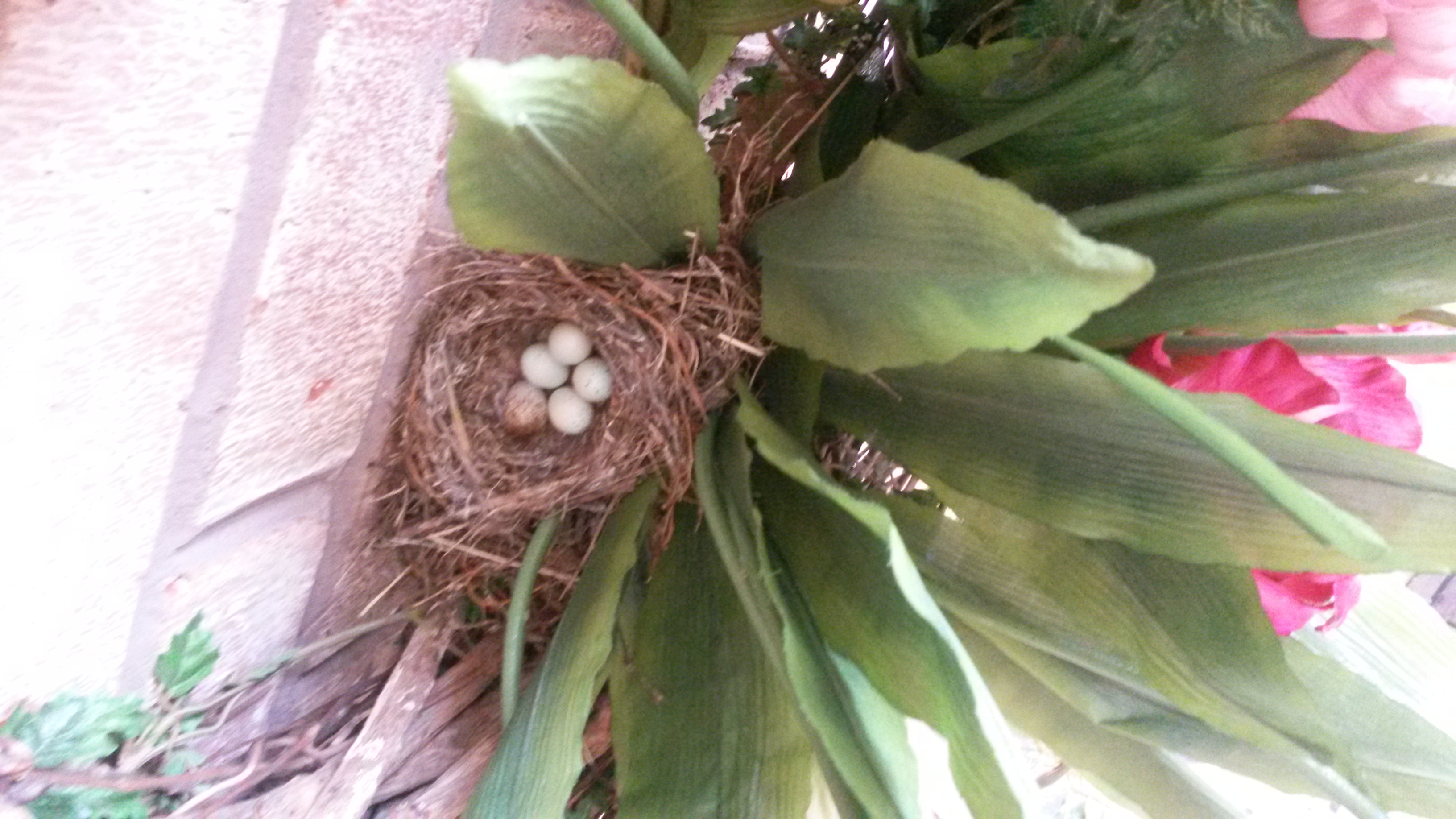 Wreath Nest Wreath Nest