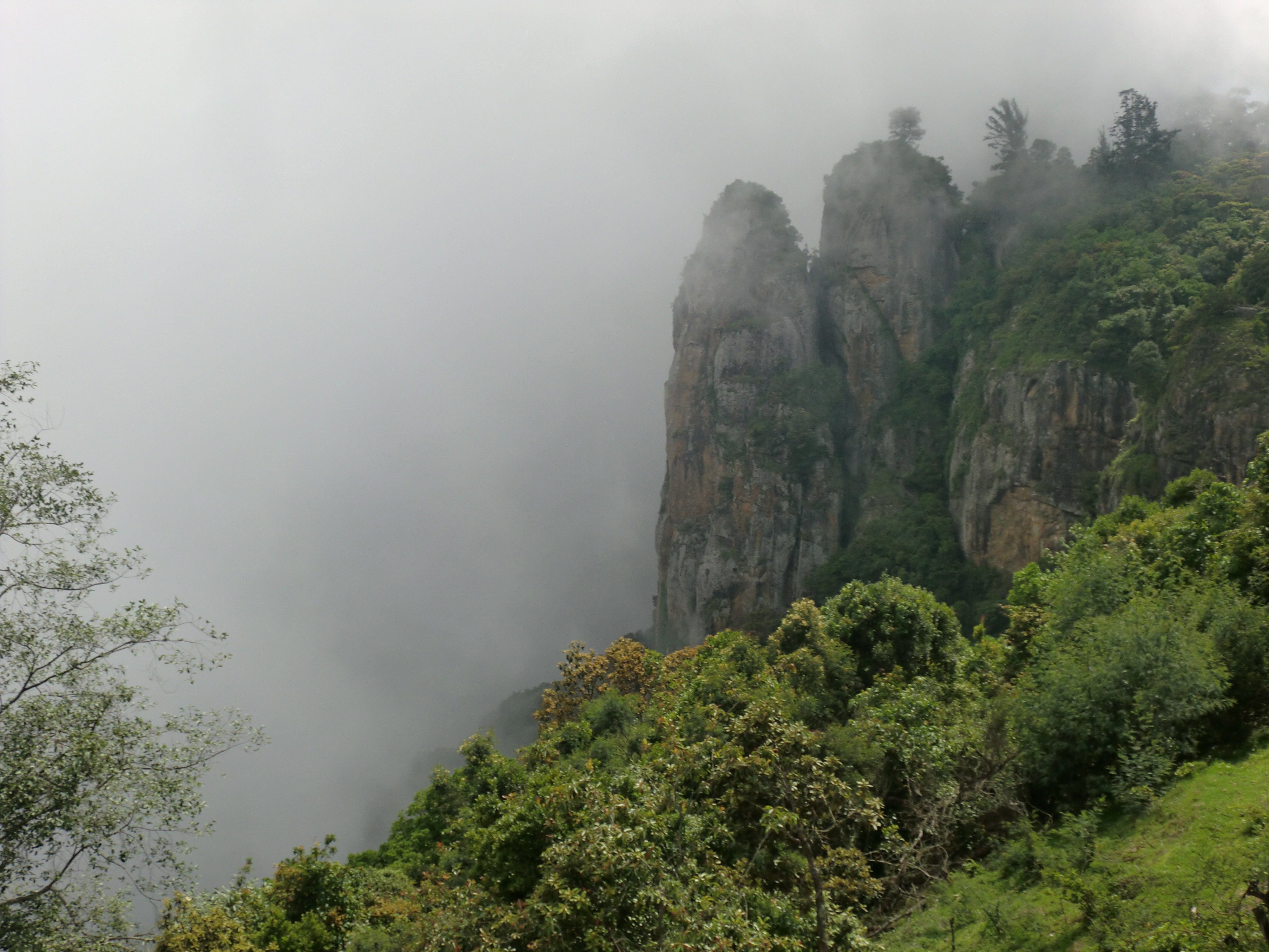 kodaikanal