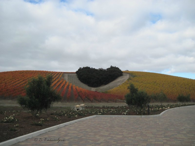 Heart Hill in Paso Robles, California Heart Hill in Paso Robles, California