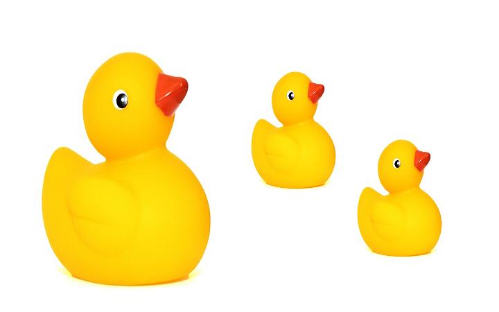 rubber duck rubber duck