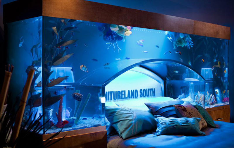 Sleep with the fishies?