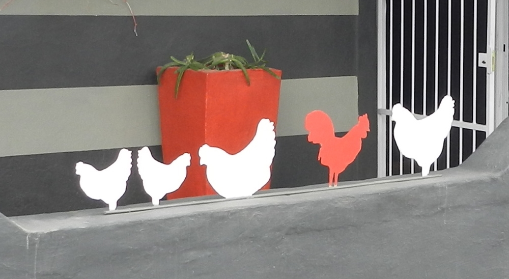 Chickens getting their ducks in a row Chickens getting their ducks in a row