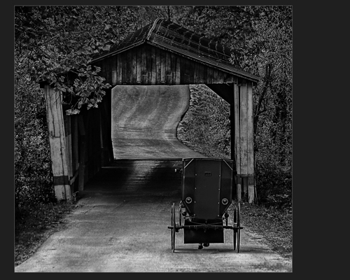 Headin Home - This image was shot in Amish Country with their permission to photograph them going thru the bridge. It was inhanced in photoshop cs to get the old look of black and white. It was shot at 400 ISO and 125/5.6.