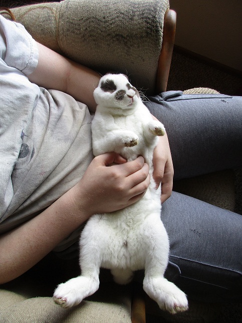 Marshmallow Cookie Just Chillin'
