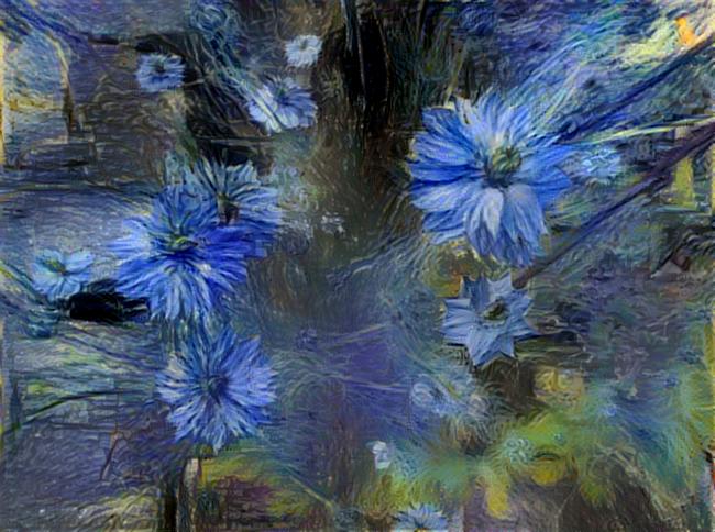 Photo taken by me of Love in a Mist with Starry Night Effect on LunaPic.com
