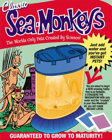 sea monkey sea monkey