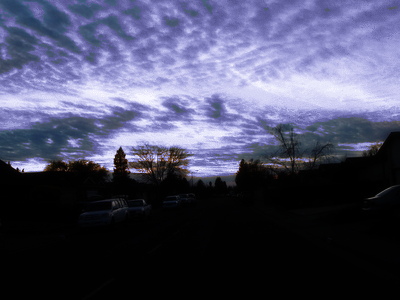 Photo taken by me with effects added on LunaPic.com