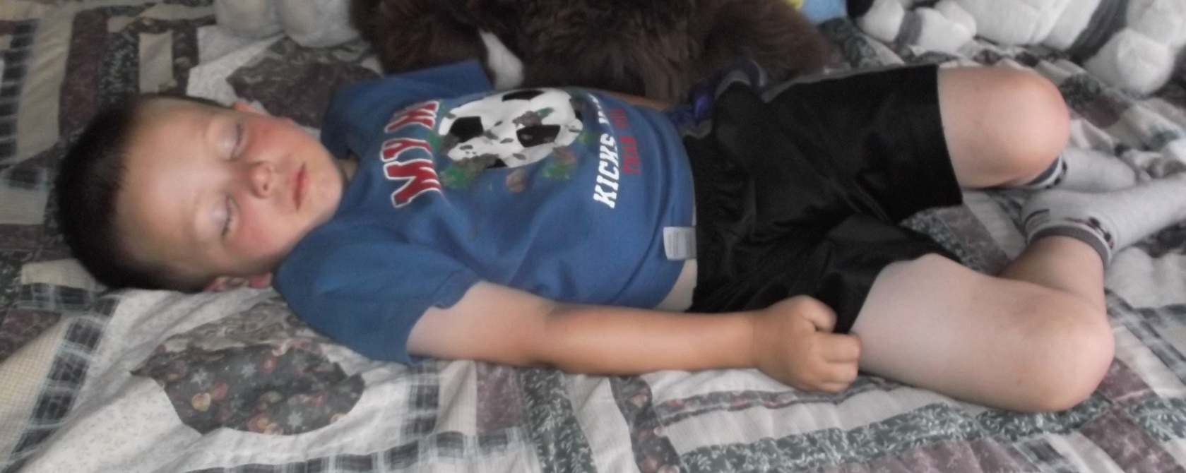 Photo I took of Frankie sleeping on my bed 5-18-16 Photo I took of Frankie sleeping on my bed 5-18-16