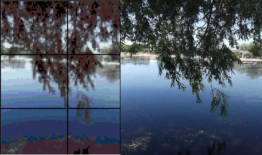 Photo taken by me with pattern created by me on MyPhotoStitch.com