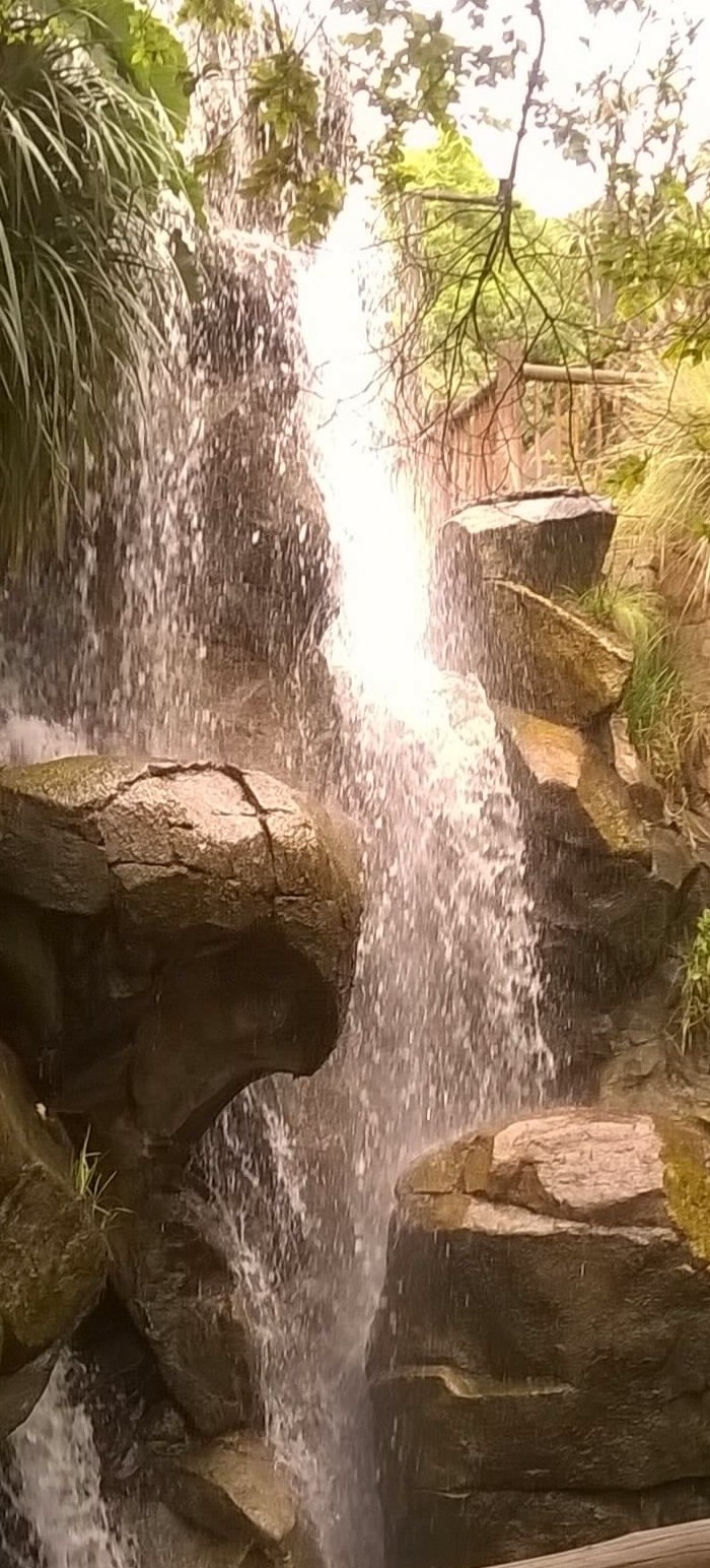 photo i took of waterfall