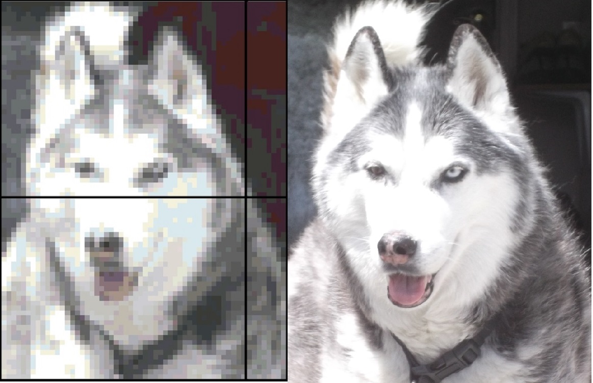 Pattern I made from photo of dog next door Pattern I made from photo of dog next door