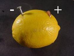 Creating the battery - Insert a penny into a cut on one side of the lemon.  Push a galvanized nail into the other side of the lemon.  The nail and penny must not touch. 

This is a single cell of a battery.  The zinc nail and the copper penny are called electrodes. The lemon juice is called electrolyte.  All batteries have a " +" and "-" terminal.   Electric current is a flow of atomic particles called electrons.  Certain materials, called conductors, allow electrons to flow through them.  Most metals (copper, iron) are good conductors of electricity. Electrons will flow from the "-" electrode of a battery, through a conductor,  towards the "+" electrode of a battery.  Volts (voltage) is a measure of the force moving the electrons. (High voltage is dangerous!)