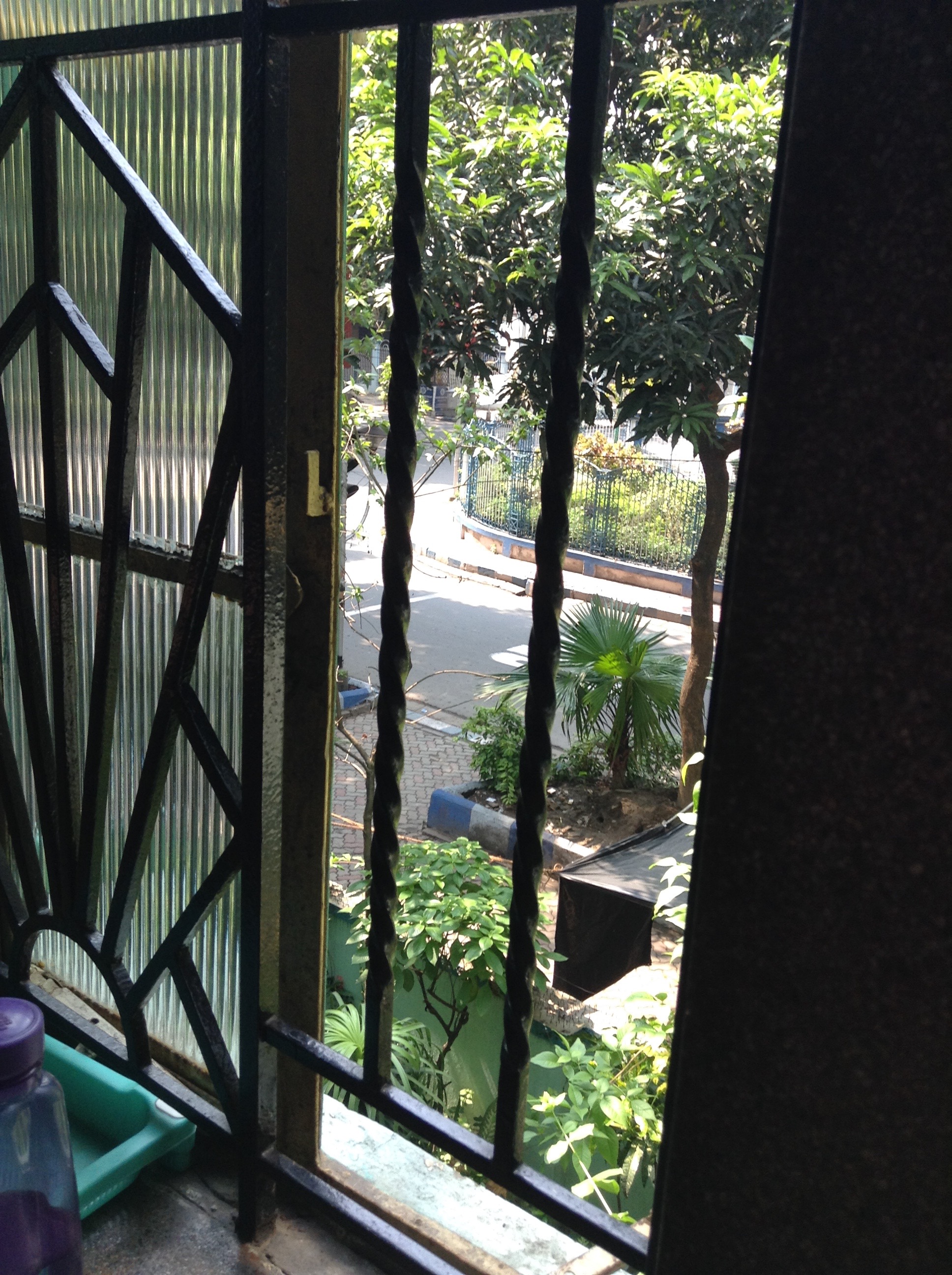 A picture of the street from our home A picture of the street from our home