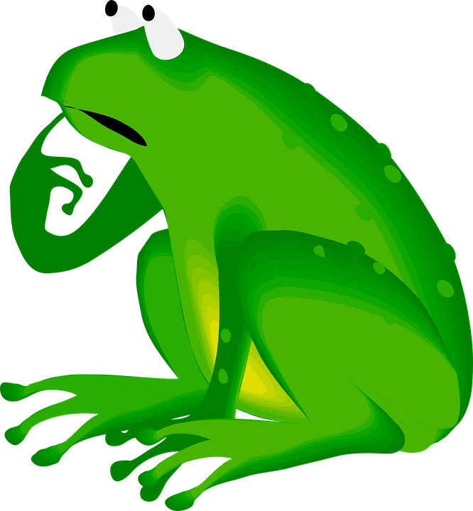 frog frog