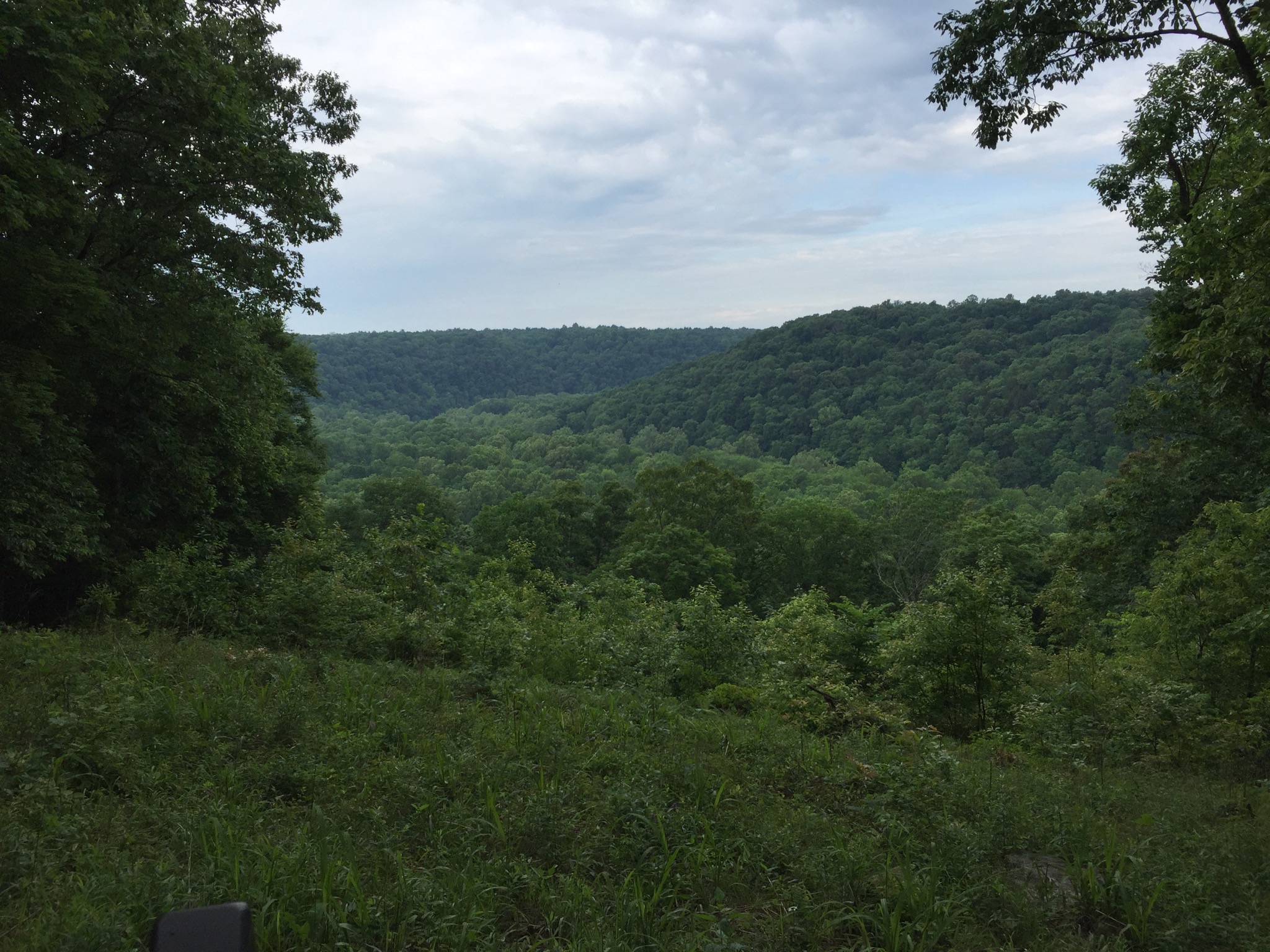 Sunset Point at Mammoth Cave National Park.  Photo taken by and the property of FourWalls.