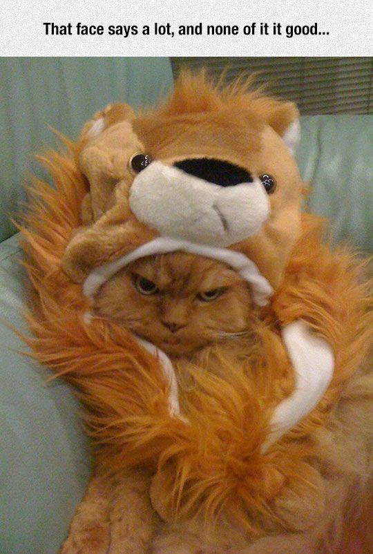Unhappy Unhappy