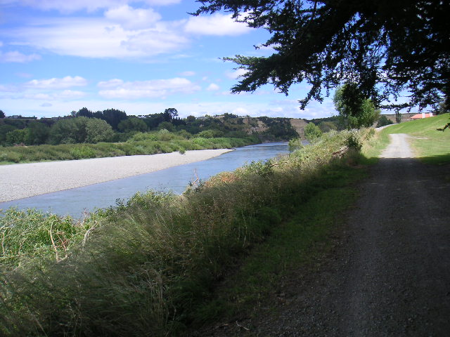 Manawatu River, NZ, one of my favourite walking paths.