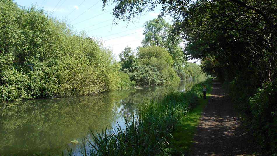 Slough Arm Canal Slough Arm Canal
