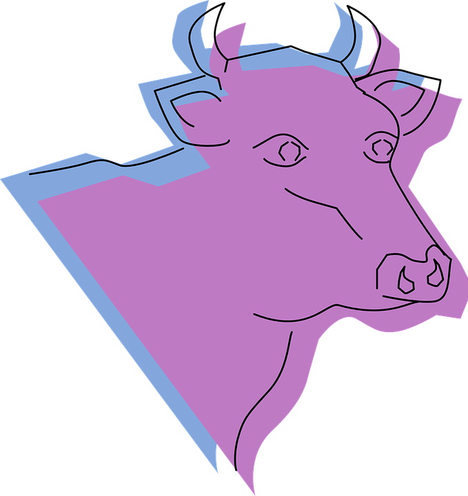 Have You Ever Seen a Purple Cow? Have You Ever Seen a Purple Cow?