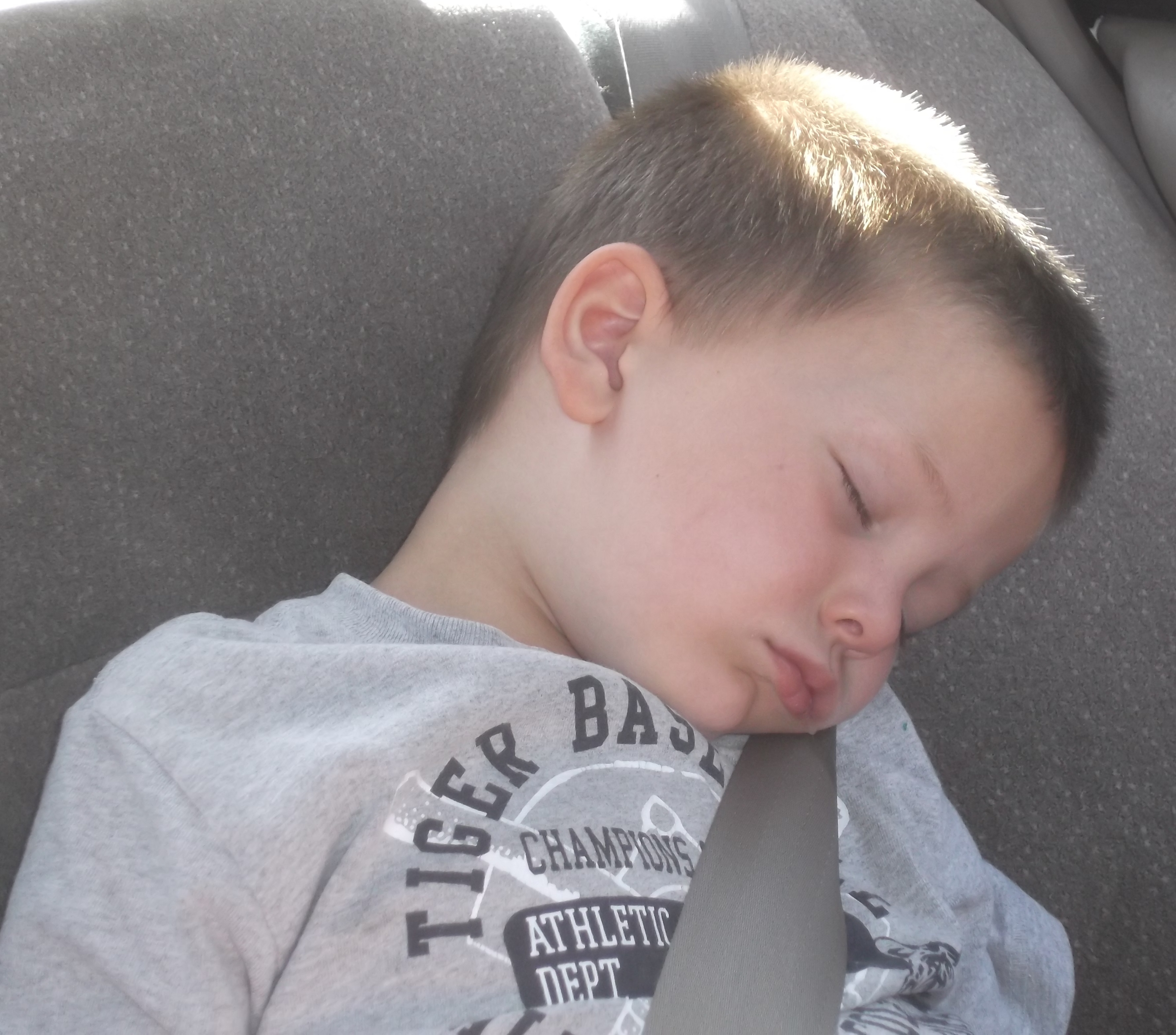 Frankie sleeping in my Mom's car Frankie sleeping in my Mom's car