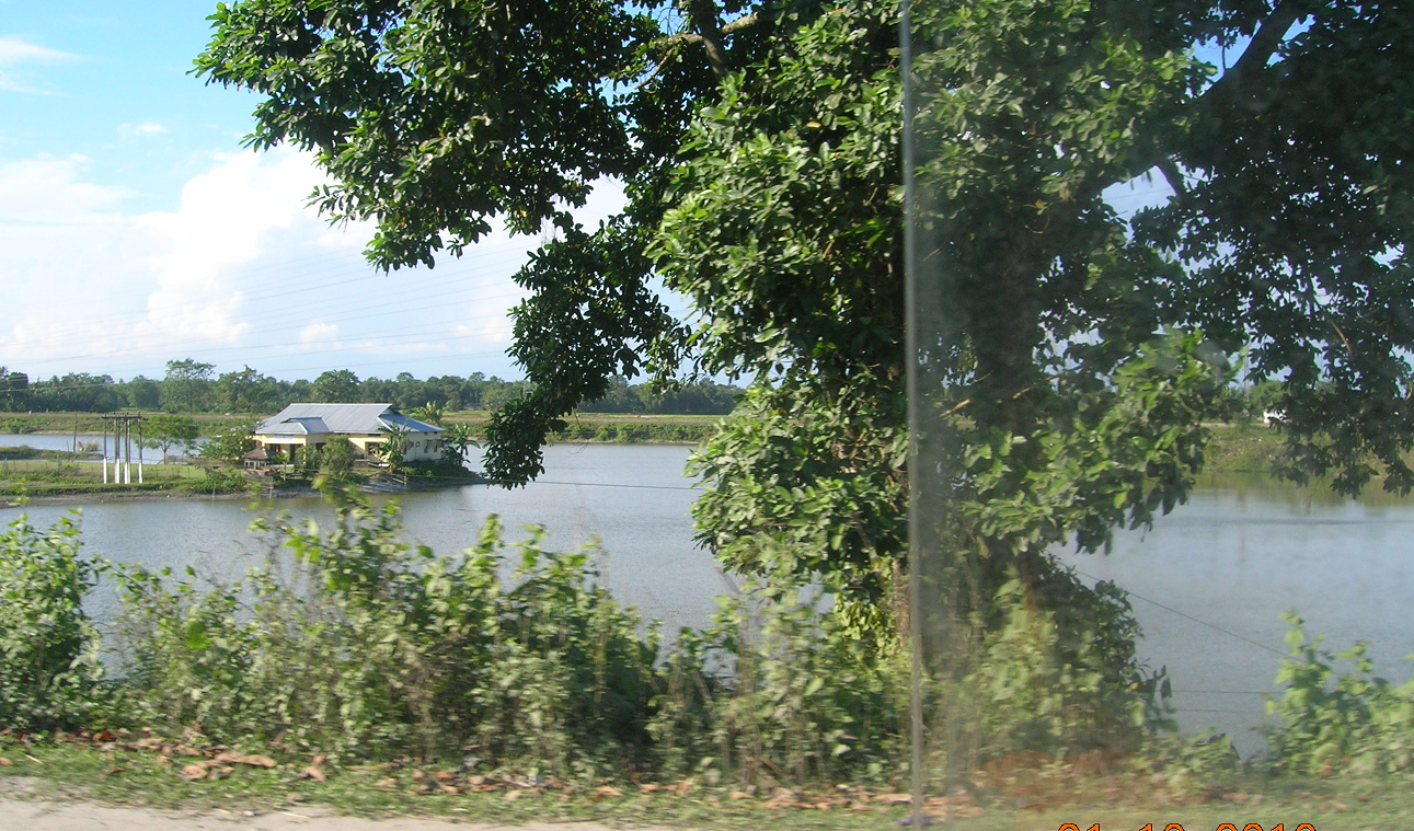 COUNTRYSIDE COUNTRYSIDE