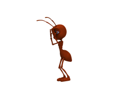 ants ants